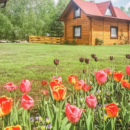 Holiday home Awesome In With Kitchenette Osiek (Pomerania)