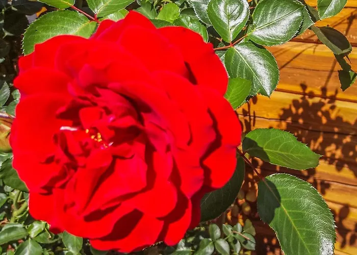 Awesome In With Kitchenette